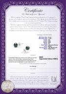 Product certificate: AK-B-AA-67-E