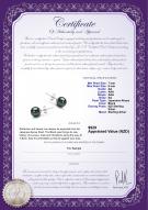 product certificate: AK-B-AA-78-E