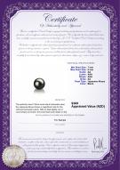 product certificate: AK-B-AA-78-L1
