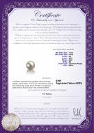 product certificate: AK-W-AA-78-L1