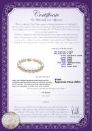 Product certificate: AK-W-AAAA-758-B-Hana-8