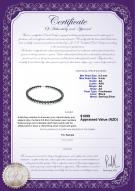 product certificate: B-AA-89-N