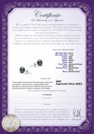 Product certificate: B-AAA-657-E-Akoy