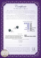 product certificate: B-AAA-657-E-Akoy