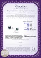 Product certificate: B-AAA-758-E-Akoy