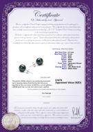 product certificate: B-AAA-859-E-Akoy