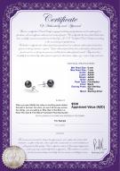 product certificate: B-AAAA-67-E