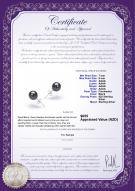 product certificate: B-AAAA-78-E