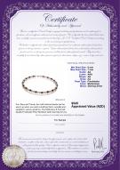 Product certificate: BPW-AA-67-N