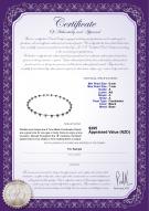 product certificate: FW-B-A-67-N-Atina
