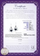 product certificate: FW-B-AA-1011-E-Nichelle