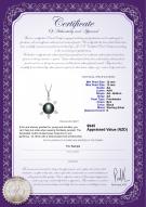 product certificate: FW-B-AA-1213-P-Besty