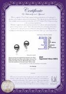 product certificate: FW-B-AA-78-E-Claudia