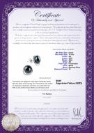 product certificate: FW-B-AA-910-E-Kelly