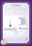 product certificate: FW-B-AA-910-P-Naomi