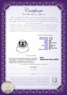 product certificate: FW-B-AAA-1112-R-Wendy