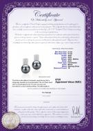 product certificate: FW-B-AAA-89-E-Alina