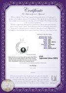 product certificate: FW-B-AAA-910-P-Moon