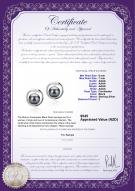 product certificate: FW-B-AAAA-67-E-Sharon