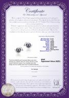 product certificate: FW-B-AAAA-67-E-Zorina