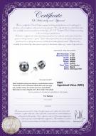 product certificate: FW-B-AAAA-78-E-Britt