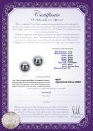 product certificate: FW-B-AAAA-78-E-Dreama