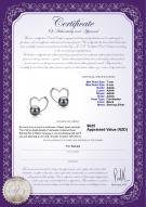 product certificate: FW-B-AAAA-78-E-Vanessa