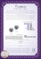 product certificate: FW-B-AAAA-89-E-Bessie