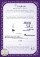 Product certificate: FW-BW-AA-58-P-Elida