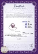 product certificate: FW-L-AA-910-R-Chantel