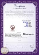 product certificate: FW-L-AAAA-910-L1