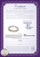 product certificate: FW-W-A-1011-B