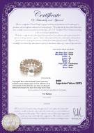 product certificate: FW-W-A-89-B-DBL