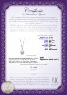 Product certificate: FW-W-AA-1011-P-Fotina