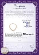 Product certificate: FW-W-AA-34-N-VNECK