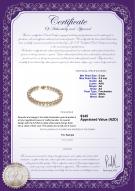 Product certificate: FW-W-AA-556-B