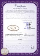 product certificate: FW-W-AA-7585-S
