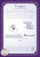 product certificate: FW-W-AA-910-R-Chantel