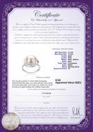 product certificate: FW-W-AAA-1112-R-Wendy