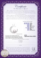 product certificate: FW-W-AAA-910-P-Moon