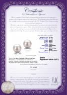 product certificate: FW-W-AAAA-1011-E-Berry