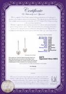 product certificate: FW-W-AAAA-1011-E-Porsha