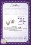 product certificate: FW-W-AAAA-1011-E-Tammy