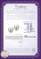 Product certificate: FW-W-AAAA-1011-E-Tammy