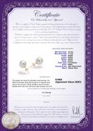 Product certificate: FW-W-AAAA-1011-E