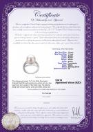 product certificate: FW-W-AAAA-1011-R-Layana