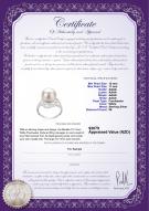 product certificate: FW-W-AAAA-1011-R-Maddie