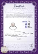 Product certificate: FW-W-AAAA-1011-R-Oana