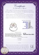 product certificate: FW-W-AAAA-1011-R-Sheila