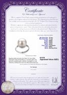 product certificate: FW-W-AAAA-1011-R-Tindra